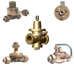 Magazine Sprinkler Valves